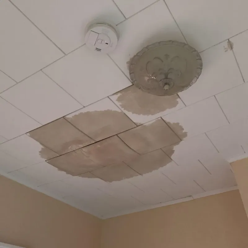 Ceiling Water Damage Repair in Eveleth, MN