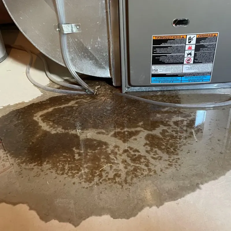 Pipe Burst and Leak Restoration in Eveleth, MN